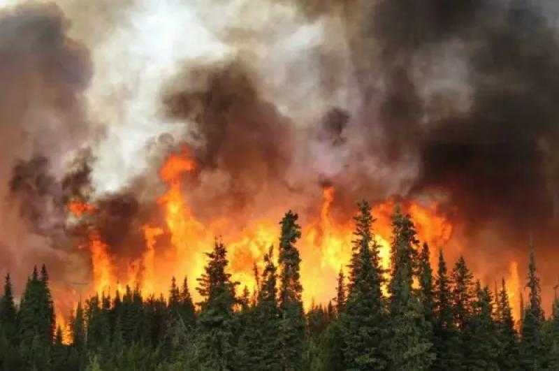 اليونان تطلب مساعدة الاتحاد الأوروبي لمكافحة حرائق الغابات
