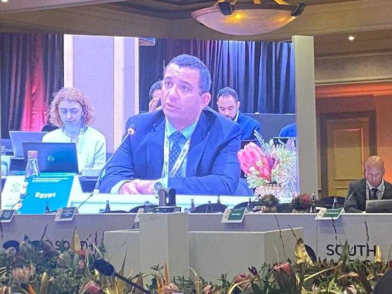 مصر تشارك في اجتماعات معنية بالتجارة والاستثمار ضمن مجموعة العشرين
