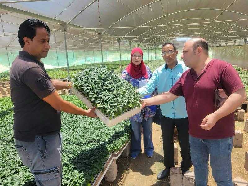 ”الزراعة”: تصدير 25 ألف شتلة فاكهة و400 ألف شتلة فراولة خلال يوليو الماضي