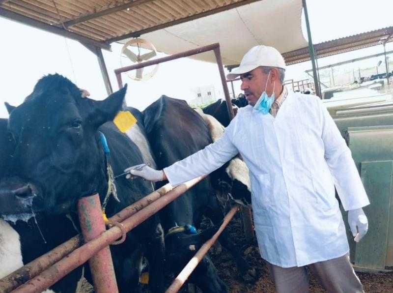 ”الخدمات البيطرية” تنفذ حملات موسعة للكشف المبكر والسيطرة على الأمراض خلال يوليو