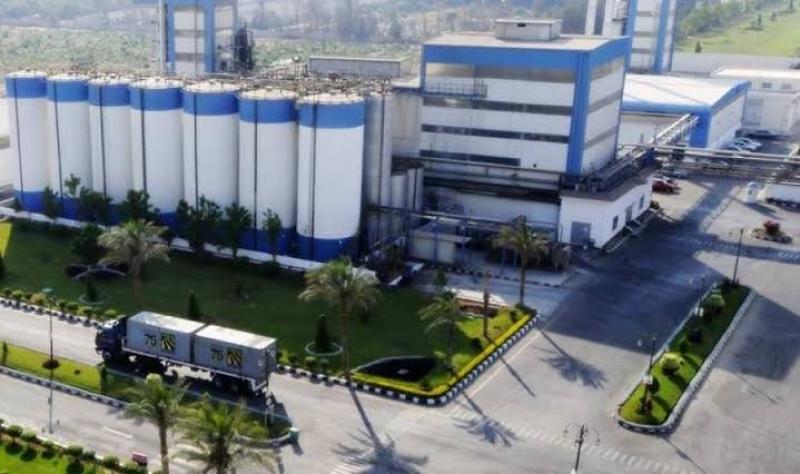 بسبب ارتفاع الأسعار.. إغلاق شركات هائل سعيد باليمن