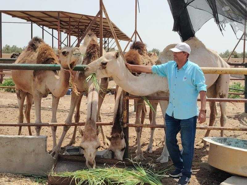 ”بحوث الصحراء”: زراعة محاصيل علفية تتحمل الملوحة بمحطة جنوب سيناء