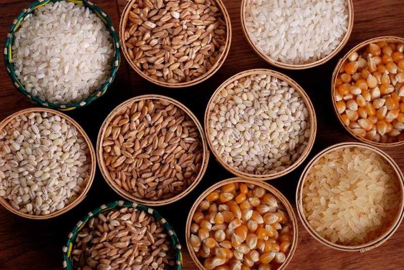 مجلس الحبوب العالمي يرفع توقعاته لحصاد الحبوب إلى 2.404 مليار طن