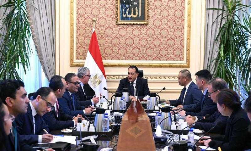 رئيس الوزراء: مهتمون بتوطين صناعة مكونات محطات الطاقة الشمسية في مصر