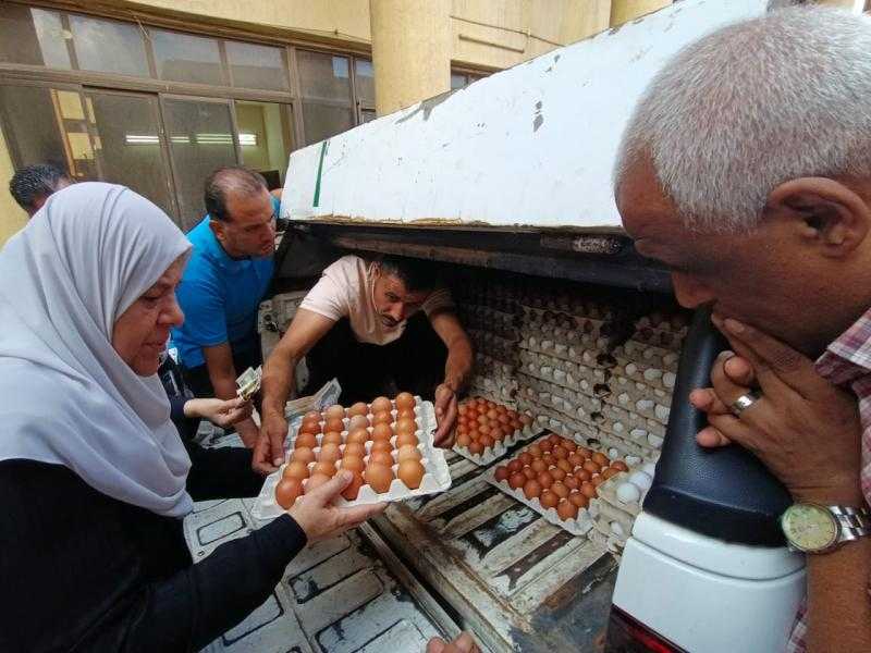 ”الزراعة” تطلق 6 منافذ متنقلة لبيع بيض المائدة بـ140 جنيهًا في القاهرة والجيزة| صور