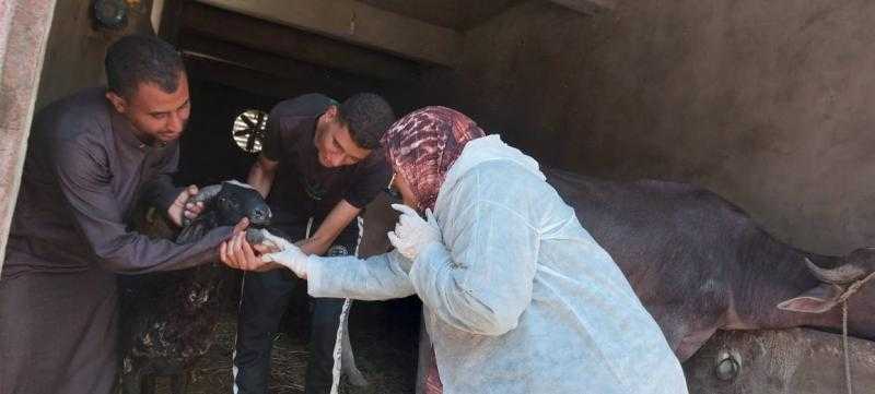 خلال أكتوبر.. ”الخدمات البيطرية” تنفذ أكثر من 8 آلاف زيارة للتقصي النشط بالمحافظات