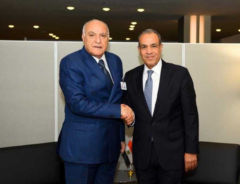 وزير الخارجية: الشركات المصرية مستعدة للمشاركة في مشروعات التنمية في الجزائر
