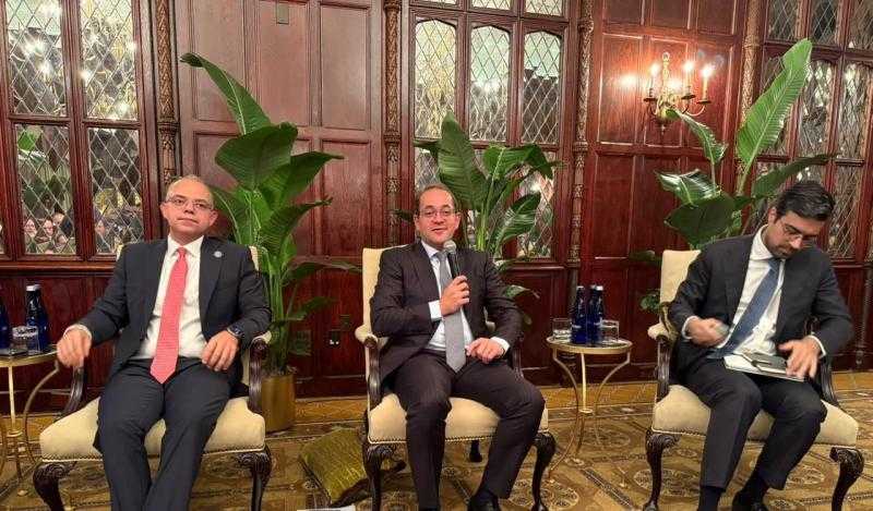 وزير المالية: نمو استثمارات القطاع الخاص 73% خلال العام المالي الماضي