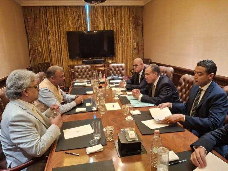 وزير الخارجية يٌناقش مع شركة هندية التعاون في مشروعات الطاقة المتجددة