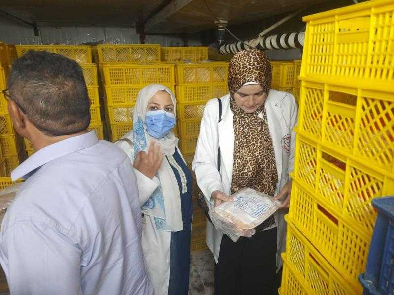 ”الخدمات البيطرية” تضبط 224 طنًا من اللحوم والدواجن والأسماك خلال أكتوبر