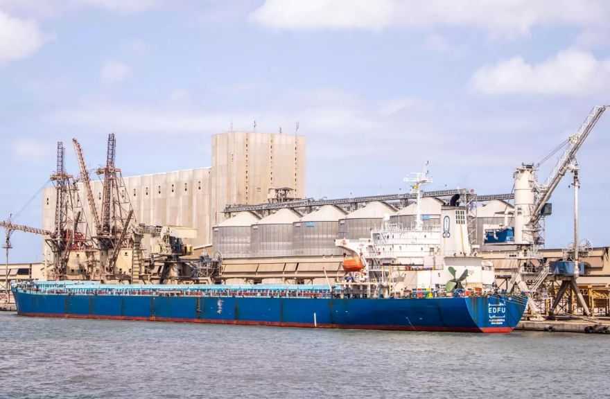 ميناء دمياط يستقبل 63 ألف طن من القمح الأوكراني لصالح القطاع العام