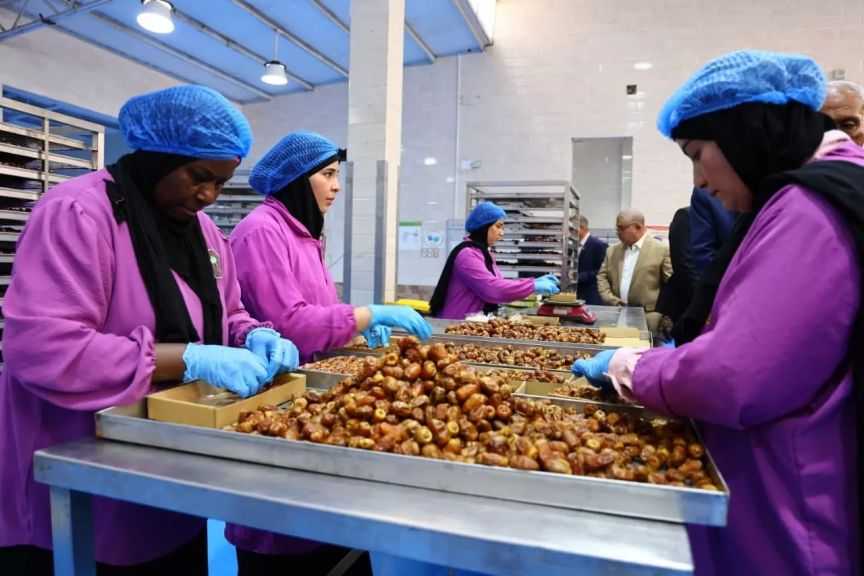 وزيرا الزراعة والتنمية المحلية يتفقدان مجمع التمور ومشروع الإنتاج الحيواني بالوادي الجديد| صور