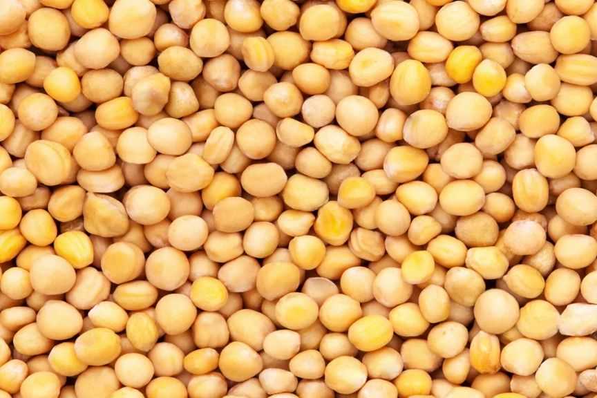 الهند تفرض رسومًا جمركية بنسبة 30% على استيراد البازلاء الصفراء