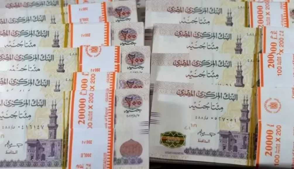 البنك المركزي: الودائع بالعملة المحلية ترتفع إلى 9.3 تريليون جنيه بنهاية أكتوبر 2025