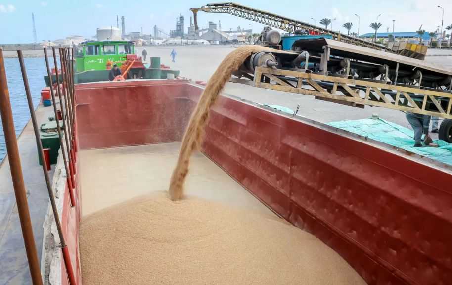 ميناء دمياط يستقبل 30.9 ألف طن من القمح الأوكراني لصالح القطاع العام