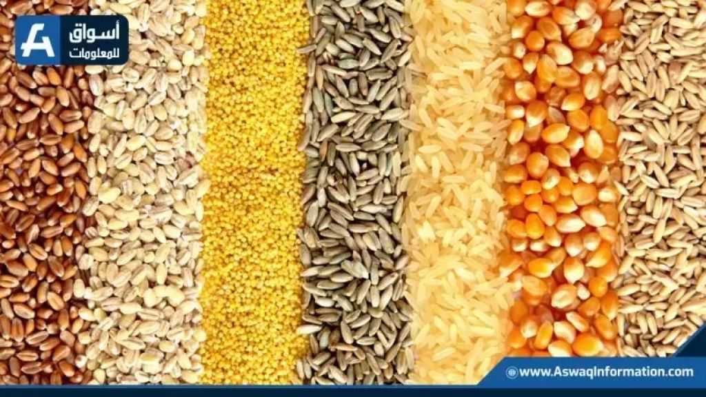 خلال الموسم الحالي.. أوكرانيا تُصدر 11.1 مليون طن من الحبوب