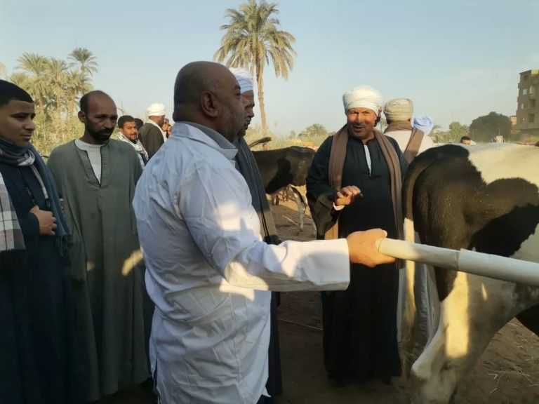 ”الخدمات البيطرية” تمر على أسواق الماشية بـ5 محافظات للتأكد من استقرار الوضع الوبائي