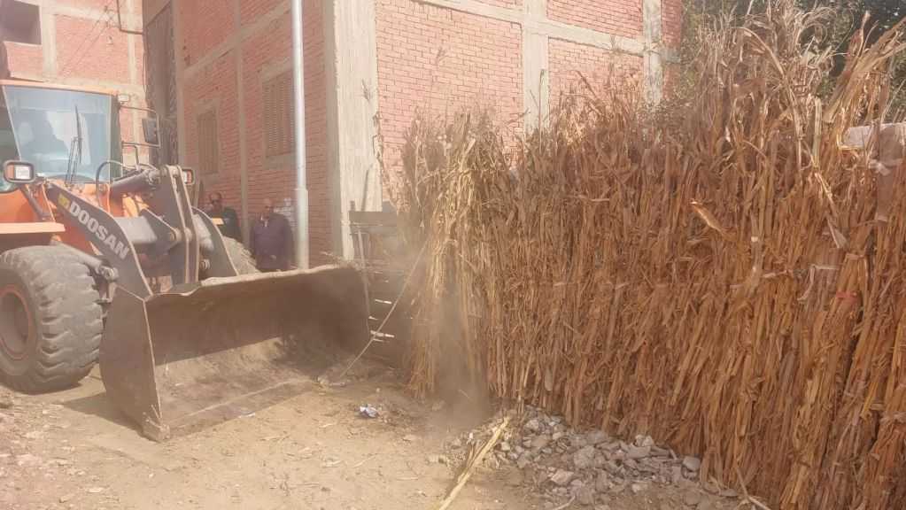 ”الزراعة”: إزالة 167 حالة تعد على الأرض الزراعة في المهد خلال يومين