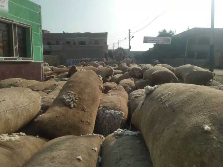 ”الزراعة” تضبط شونة ضخمة لتخزين وبيع القطن دون ترخيص في الشرقية