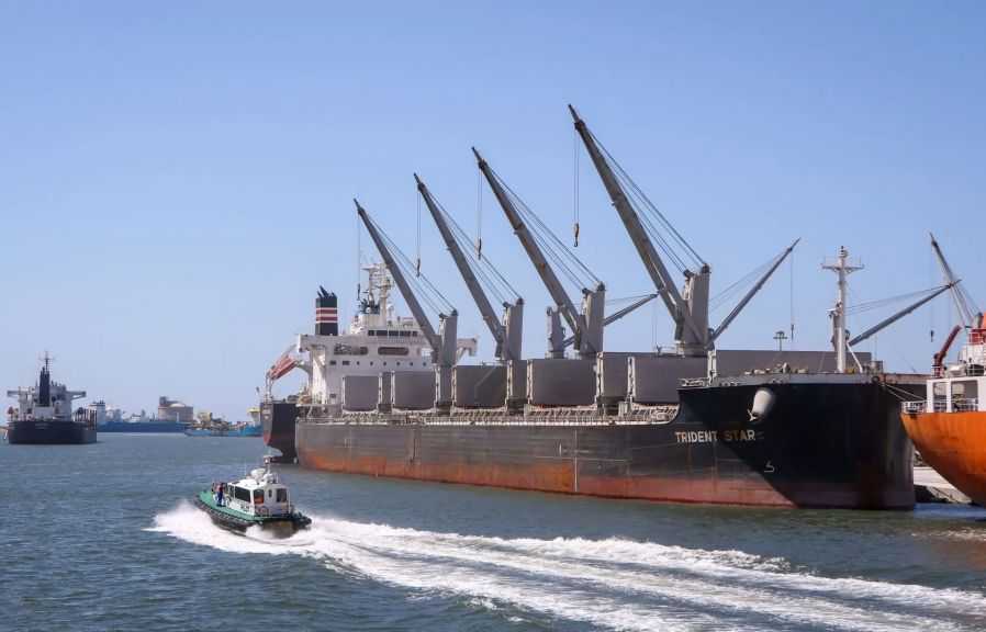 تضم ذرة وقمح وزيت.. ميناء دمياط تستقبل 43657 طنًا من البضائع