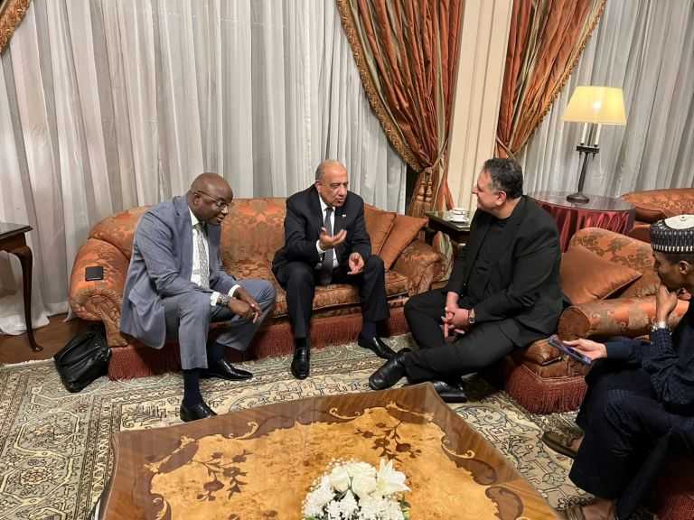 وزير الكهرباء يبحث مع نظيره بجمهورية تشاد سبل التعاون بمجالات الطاقة المتجددة والتدريب