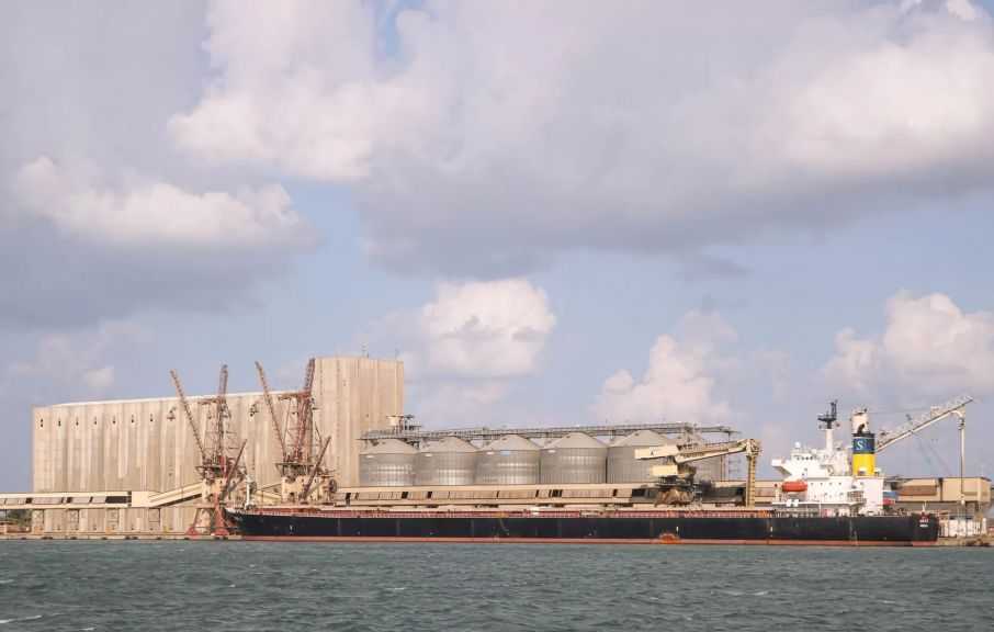 ميناء دمياط يستقبل 40 ألف طن قمح روسي لصالح القطاع العام