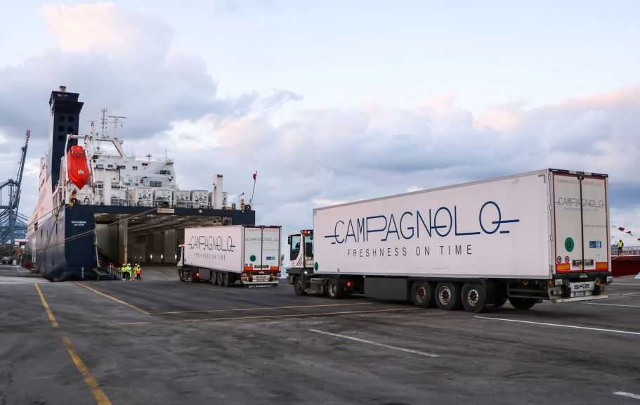 تضم ذرة وفول صويا وعدس.. ميناء دمياط يستقبل 52265 طنًا من البضائع