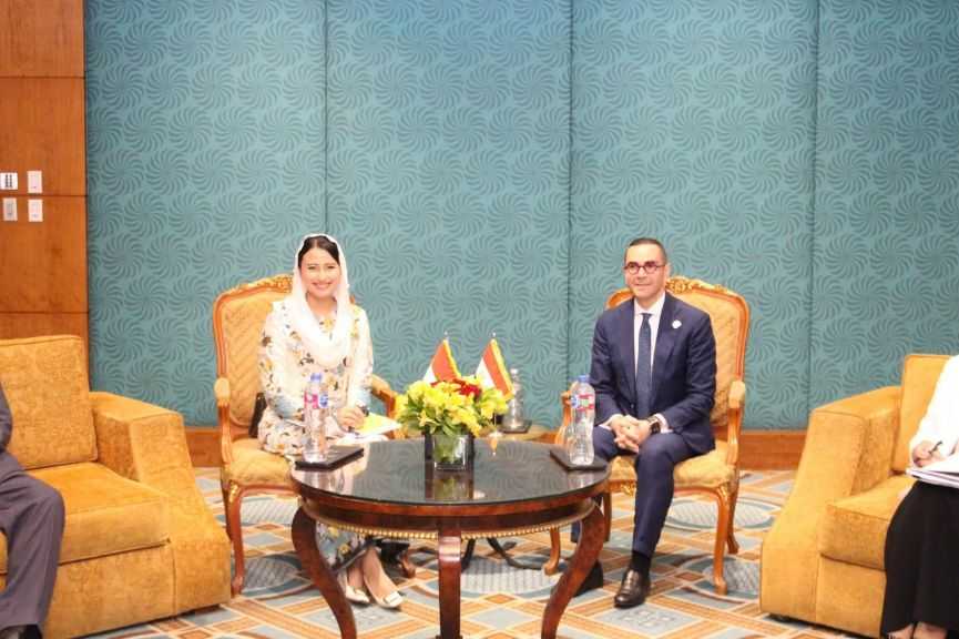 مصر وإندونيسيا تبحثان تعزيز التعاون الاقتصادي والتجاري والاستثماري