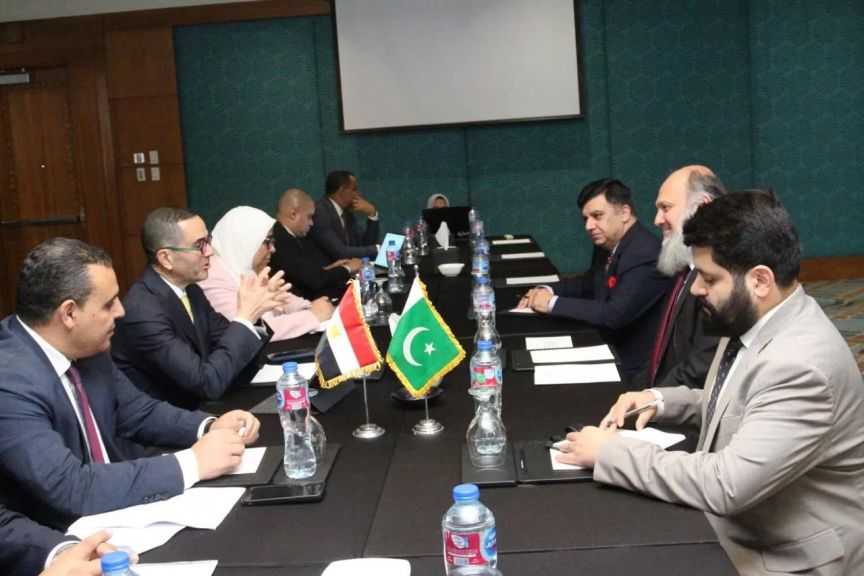 مصر وباكستان تبحثان التعاون بمجالات التعدين والأغذية والسيارات والشحن