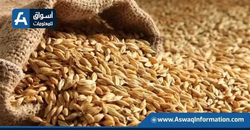 الأردن يطرح مناقصة دولية لشراء 120 ألف طن من علف الشعير