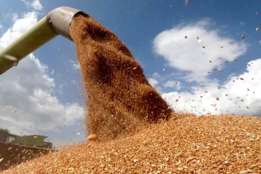 منتدى كازاخستان للحبوب يبحث مستقبل السوق والخدمات اللوجستية