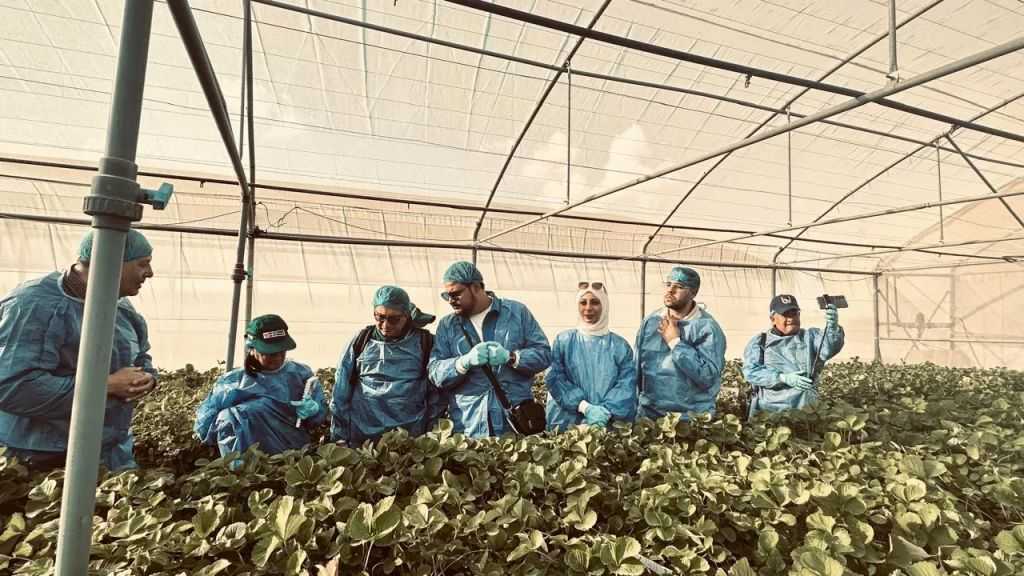 ”الزراعة” تضع اللمسات الأخيرة لفتح سوق بيرو أمام صادرات الموالح