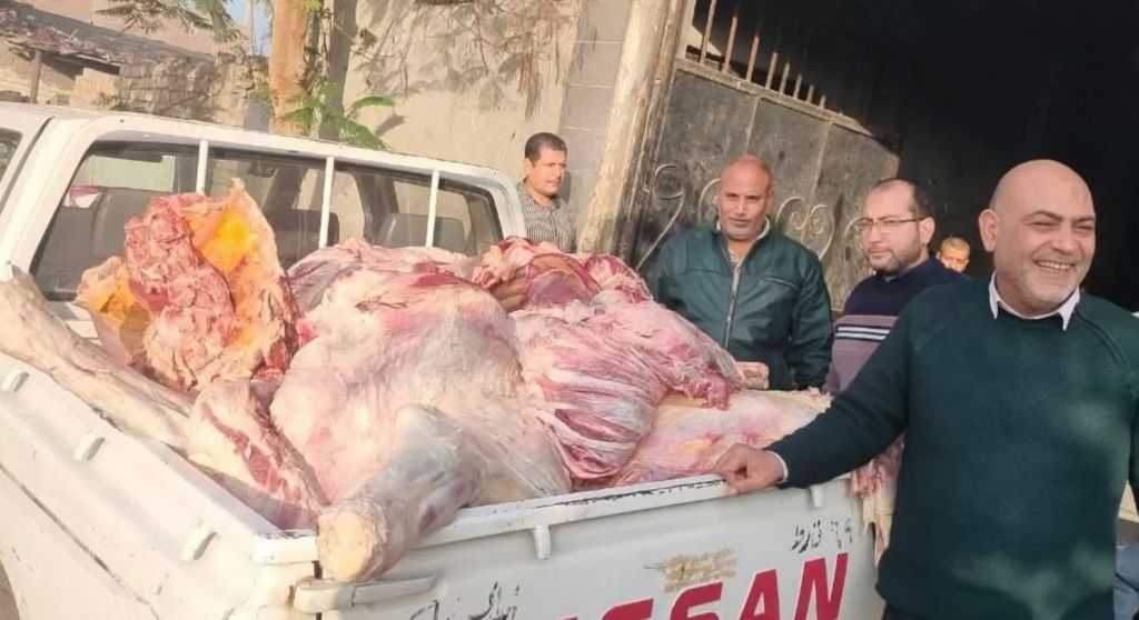 ضبط 650 طن لحوم غير صالحة للاستهلاك الآدمي بالقليوبية