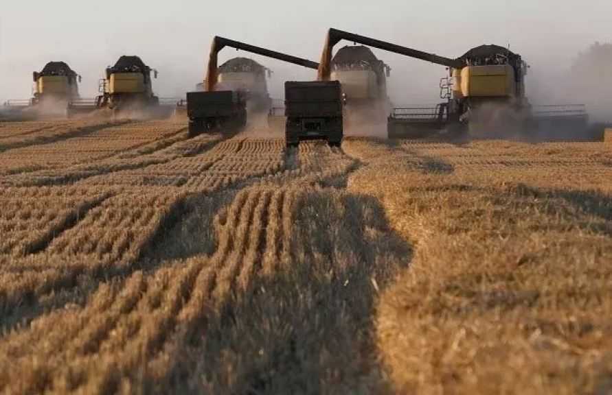 تسليم الحبوب يقفز 25% عبر معابر أوكرانيا خلال أسبوع