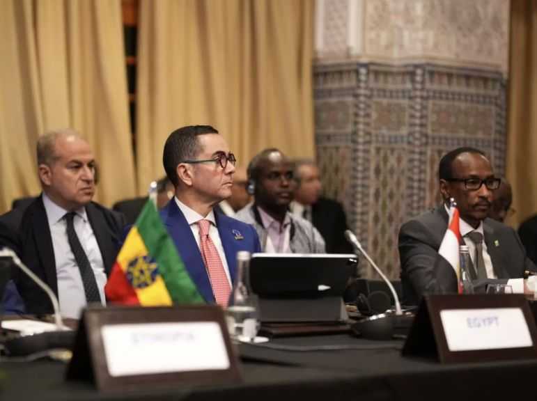 وزير الاستثمار: مصر ملتزمة بدعم أولويات إفريقيا في مفاوضات منظمة التجارة العالمية