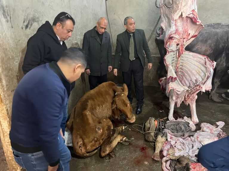 ”الخدمات البيطرية” تضبط 189 طن من اللحوم ومنتجاتها غير الصالحة للاستهلاك الآدمي