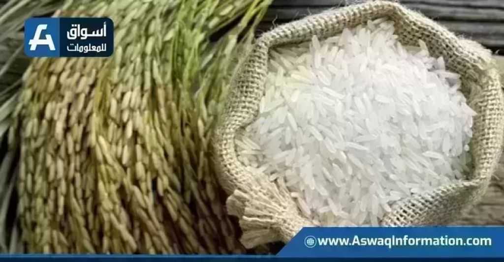 طن الأبيض البلدي يقفز 1000 جنيه| سعر الأرز اليوم الإثنين عند التاجر