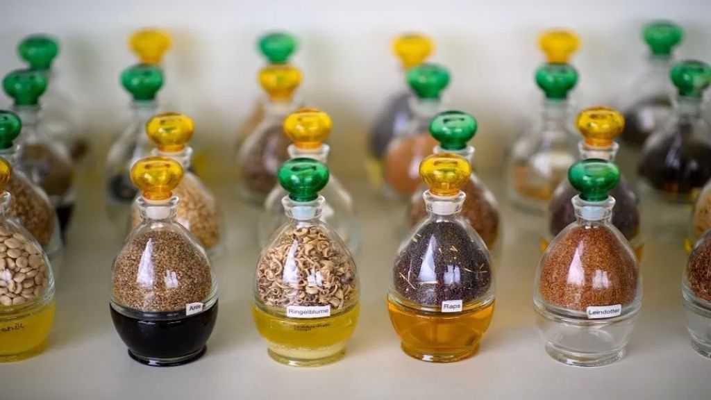 إنتاج الزيوت النباتية في روسيا يسجل مستوى قياسيًا في أكتوبر