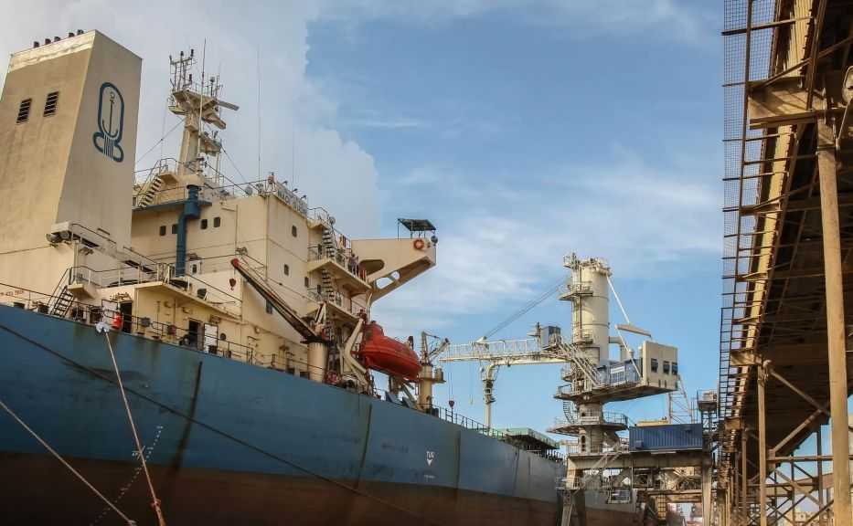 ميناء دمياط يستقبل 57.5 ألف طن من القمح الروماني لصالح القطاع العام