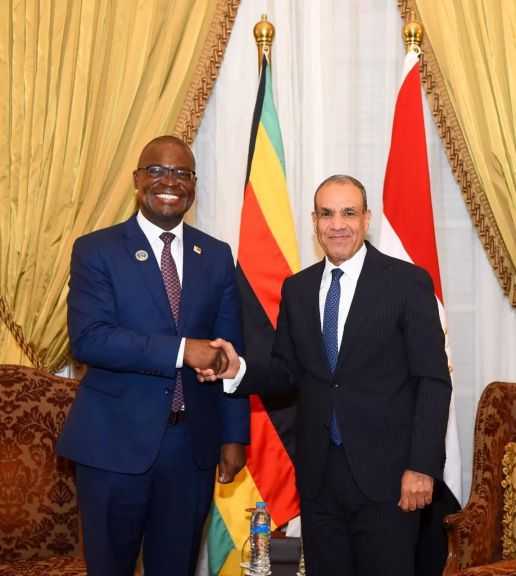 بدر عبد العاطى يلتقى وزير خارجية زيمبابوى لتعزيز التعاون الثنائى