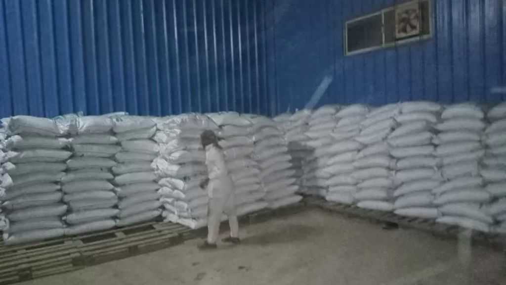 ”الزراعة” توزع 100 طن تقاوي شعير و33 ألف شتلة زيتون بمطروح