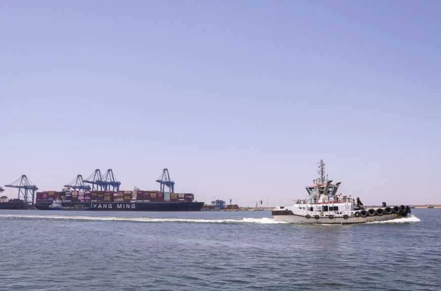 تضم ذرة وعدس وقمح.. ميناء دمياط يستقبل 73191 طنًا من البضائع