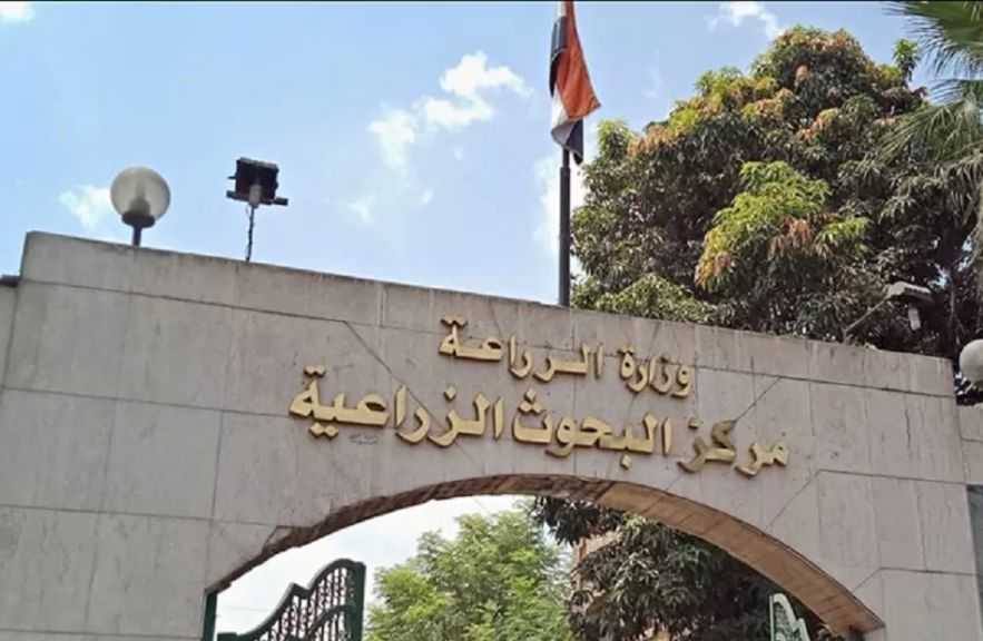 ”البحوث الزراعية” يحصل على المركز الثاني إقليميًا في تصنيف ”سيماجو” العالمي