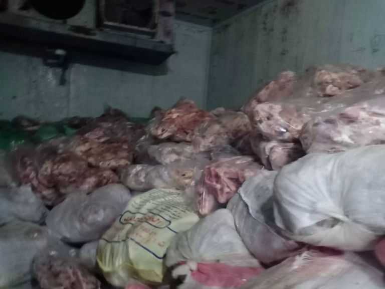 ”الخدمات البيطرية” تضبط 134.79 طنًا من اللحوم والدواجن والأسماك خلال النصف الأول من ديسمبر| صور
