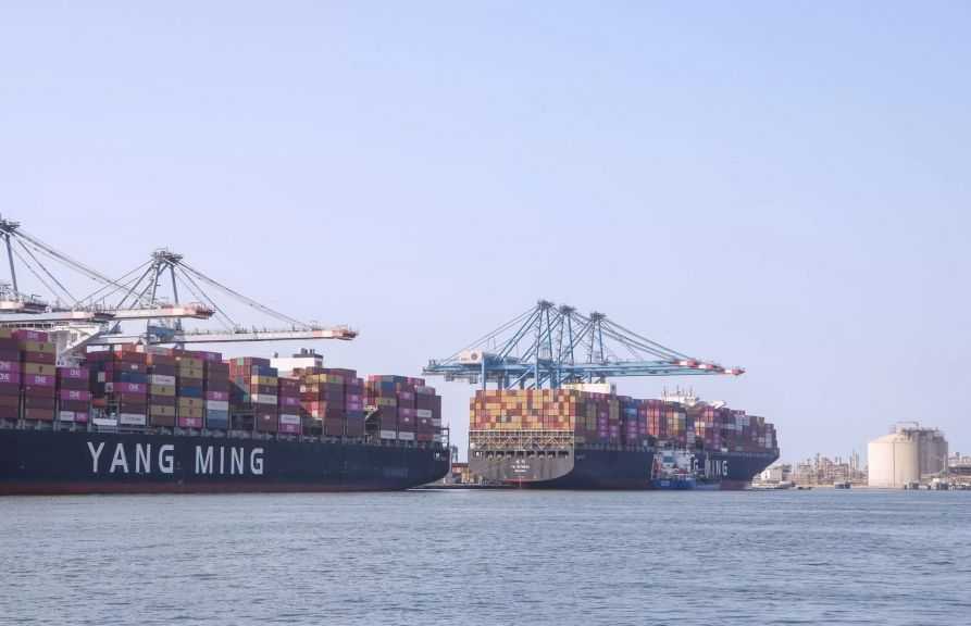 ميناء دمياط يستقبل 66 ألف طن قمح روماني لصالح القطاع العام