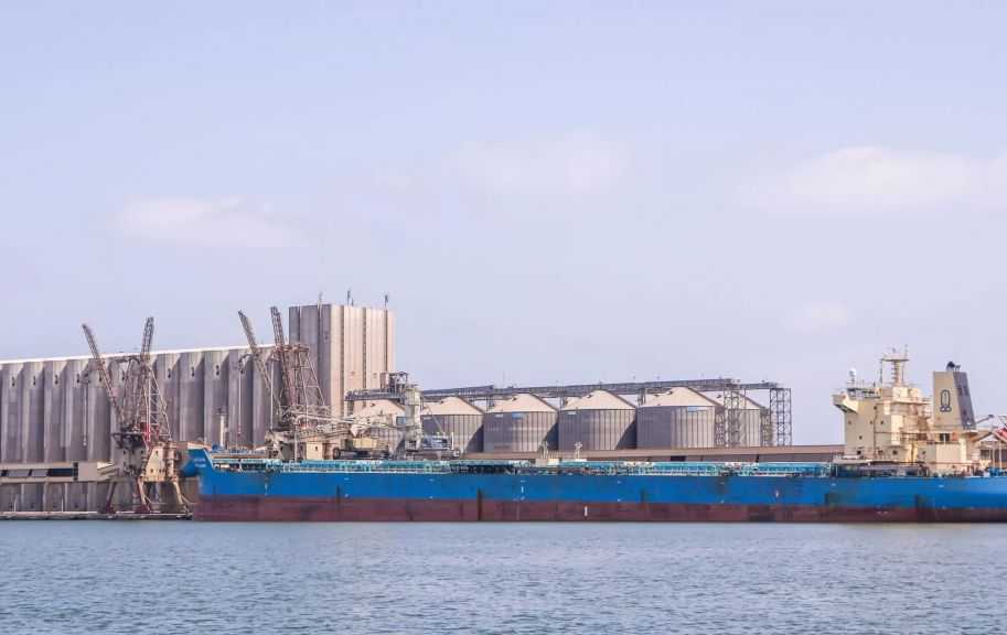 ميناء دمياط يستقبل 64.9 ألف طن من القمح الروماني لصالح القطاع العام