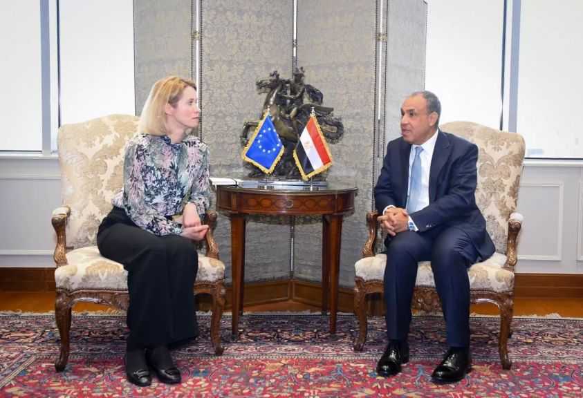 وزير الخارجية يؤكد على أهمية العمل لإزالة المعوقات أمام نفاذ السلع المصرية إلى الأسواق الأوروبية