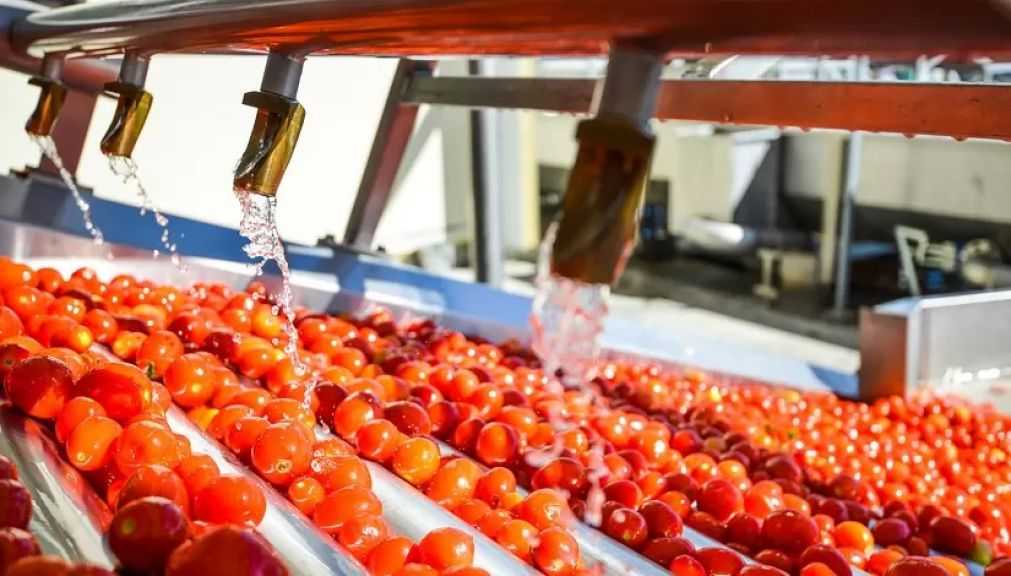 شركة”Fruitful”  أول مستثمر بولندي في قطاع الصناعات الغذائية بمصر| إنفوجراف