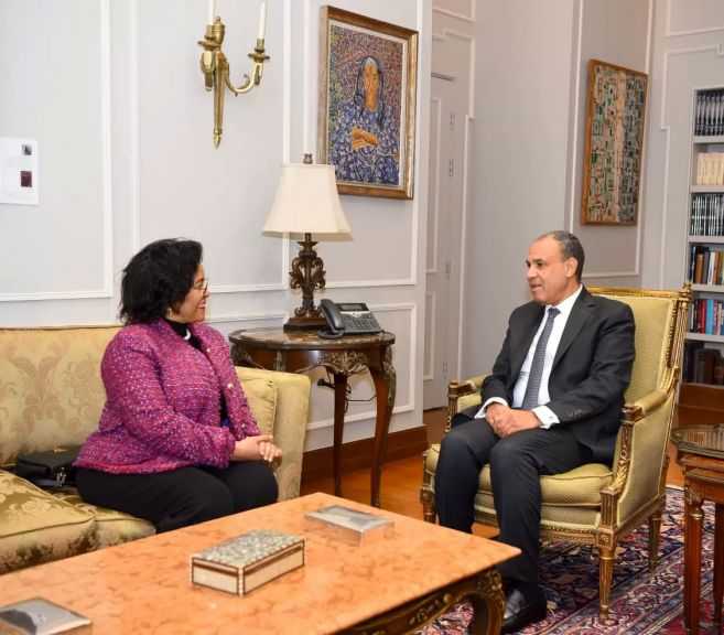 وزير الخارجية يستعرض أولويات الرئاسة المصرية لـ”النيباد” لدعم التنمية في إفريقيا