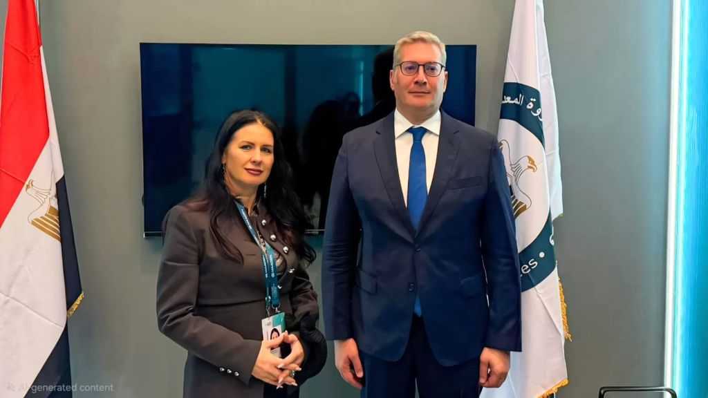 ​وزير البترول يبحث مع شركة بولندية فرص التعاون في إنتاج النحاس